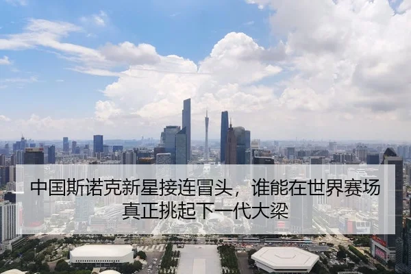 zhong-guo-si-nuo-ke-xin-xing-jie-lian-mao-tou-shui-neng-zai-shi-jie-sai-chang-zhen-zheng-tiao-qi-xia-yi-dai-da-liang-2-520.jpg