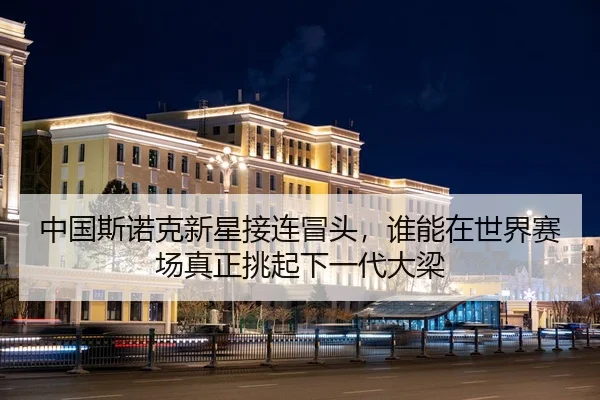 zhong-guo-si-nuo-ke-xin-xing-jie-lian-mao-tou-shui-neng-zai-shi-jie-sai-chang-zhen-zheng-tiao-qi-xia-yi-dai-da-liang-3-596.jpg